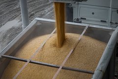Германия поможет Украине защитить зерно